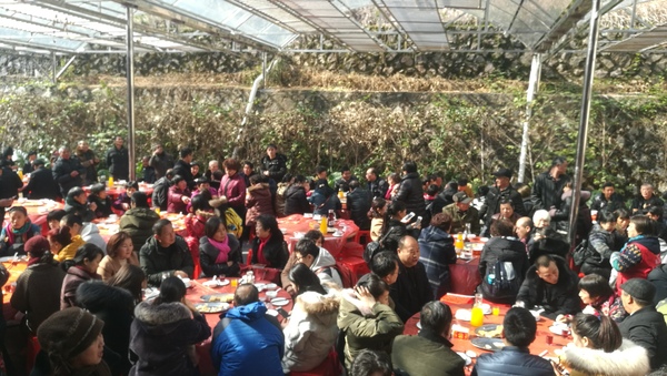 QQ图片20180112170926.jpg